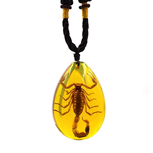 QLTY Pendentif d'ambre Artificiel,Collier de spécimen d'insecte,Bijoux de Collier personnalisés,Cristal d'ambre fossile avec des Insectes dans des échantillons de Pierres,Cadeau d'anniversaire Exquis Cover