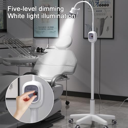 Lampe chirurgicale à intensité variable idéale pour l'ORL - 5