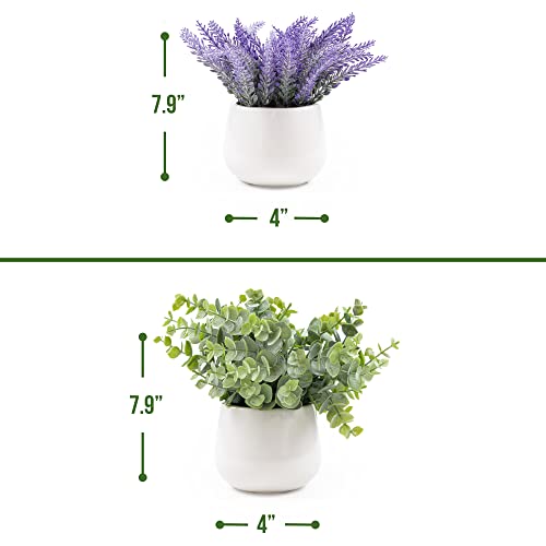 Greencallow 2 Pack In Ceramic Pot Mini Potted Fake Plants Artificial Eucalyptus Lavender For Home Office Desk Shelf Shower Kitchen Centerpiece Farmhouse Room Decor #TOP6