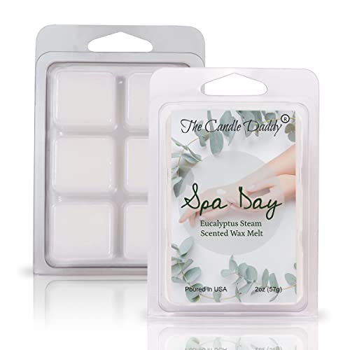 Spa Day - Relaxing Aroma Therapy Eucalyptus Scented Wax Melt - 1 Pack - 2 Ounces - 6 Cubes