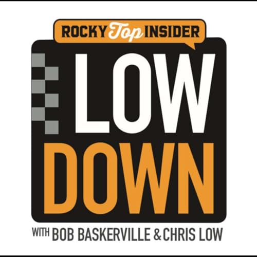 Page de couverture de The RTI Low-Down
