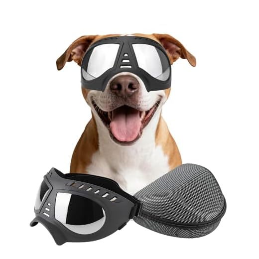 PETLESO Dog Goggles Medium Large Breed Dog Sunglasses Dog Eye Protection for Outdoor Driving Skiing, Black