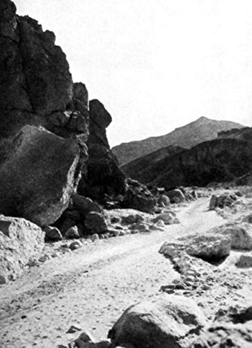 The Discovery of the Tomb of Tutankhamen [Lingua