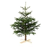 FRESCURA, AROMA Y COLOR NATURAL El abeto conserva su aroma característico y una gran densidad de ramas, lo que lo convierte en una opción ideal para decoraciones tradicionales, estilos nórdicos o composiciones naturales. El tono y la forma pueden variar ligeramente al tratarse de un producto natural.