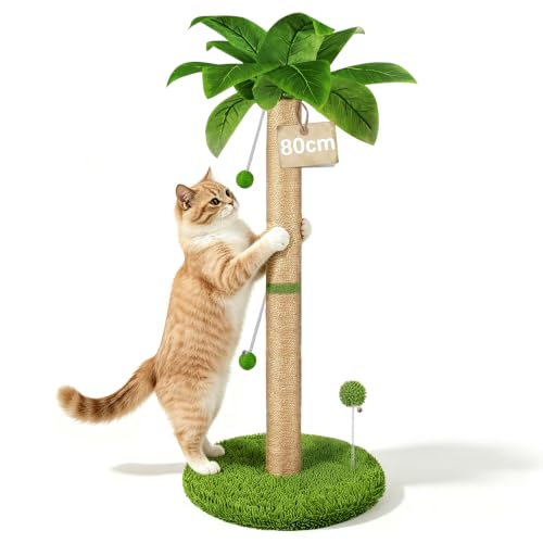 HOMYHANDS Árbol para gatos de 82 cm de alto con cuerda de sisal de alta calidad, dos pelotas interactivas suspendidas y juguetes de resorte para gatitos y gatos de interior