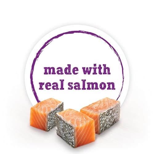 Purina Beneful Small Breed High Protein Wet Dog Food, IncrediBites Pate with Real Salmon Recipe - (Pack of 12) 3 oz. Cans