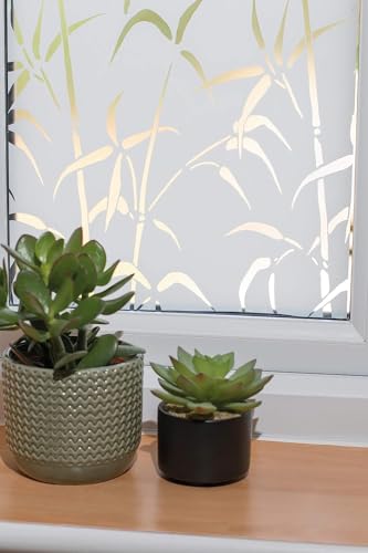 d-c-fix Möbel-Klebefolie Rotbuche, 45 cm x 2 m - abwaschbare und selbstklebende Deko-Folie für Küche, Schrank, Tisch & Fensterbank - modern & nachhaltig