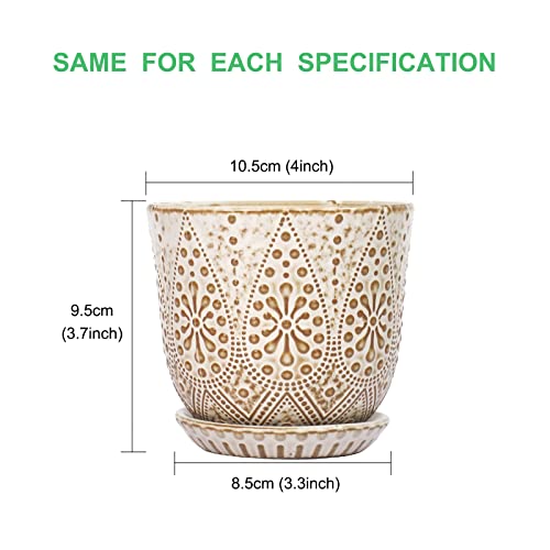 Pots de fleurs anti pourrissement racines succulentes Gepege - 3