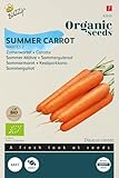 Buzzy Seeds