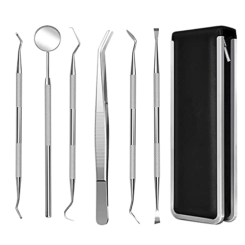 6pz Igiene Dentale Kit，Strumenti per Pulizia Denti in Acciaio Inossidabile，per Cura Orale Domestico Rimozione Tartaro