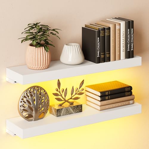 BAMEOS Floating Shelves with LED for Wall Decor, Sturdy Shelves