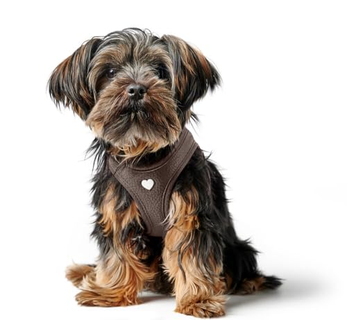 HUNTER Hundegeschirr Love, Farbe: braun, weiches Rindsleder, atmungsaktive Mesh-Polsterung, Herz handgenäht, hoher Komfort, Made in Germany, Größe: S