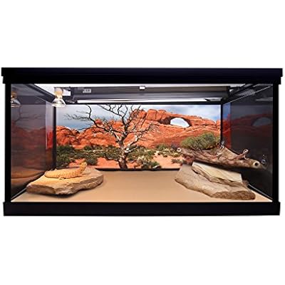 Reptile Habitat Background, Arch with Tree, 15.75 x 36