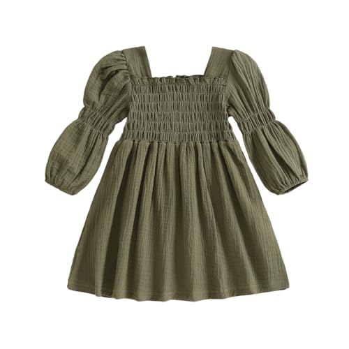 Toddler Girl Smocked Dress Lantern Long Sleeve Solid Color Casual A Line Little Girl Dresses Fall Winter Clothes