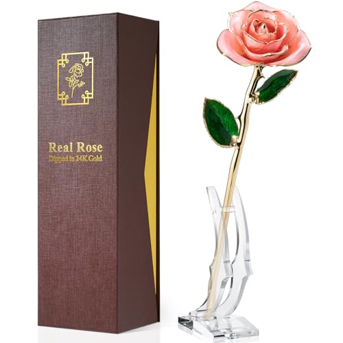 Yonktoo Rosa bañada en oro, rosa real preservada en oro de 24 quilates con soporte, regalo eterno para ella, día de la madre, día de San Valentín, aniversario, regalo romántico para esposa, madre