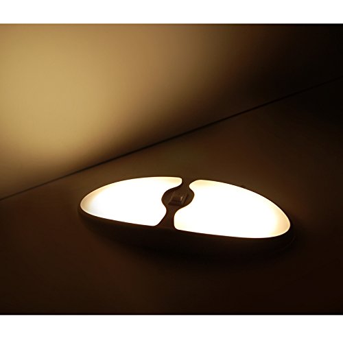 image for Dream Lighting 12V DC LED Black Double Dome Light for Vehicle Camper T