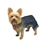 Anima Denim Jeans, Adjustable Waist, Small