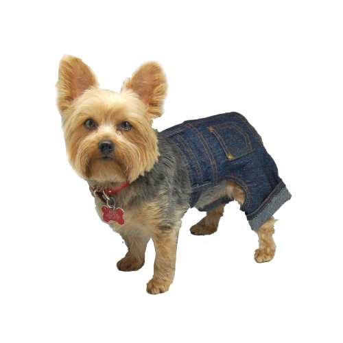 Anima Denim Jeans, Adjustable Waist, Small