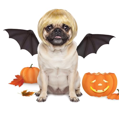 Cobee Lustige Hunde Katzen Cosplay Perücke,Haustier Perücke verstellbares Kostüm lustige Kopfbedeckung Kostüme Kopfbedeckung für kleine mittelgroße Perücken Halloween Weihnachten Dekorationen