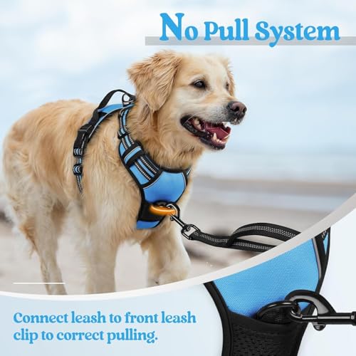 Image of Lyrovo Adjustable No-Pull Dog Harness with Leash Set for Small, Medium & Large Dogs - Reflective, Breathable, Comfortable Vest Harness for Training & Walking (Blue, S (4-13Kg))