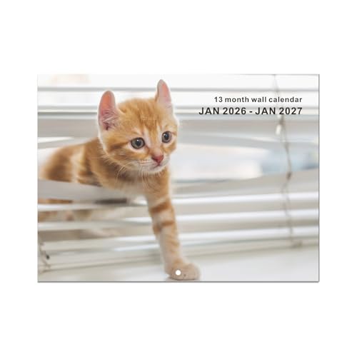 Calendario De Amantes Felinos 2026 | Colgador Seguro Cartulina Reciclada Con Numeración En Negrita | Para Entusiastas Calendario Temático Gatos Coleccionables