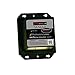 Dual Pro Professional Charger with 12V Output, Black/Platinum