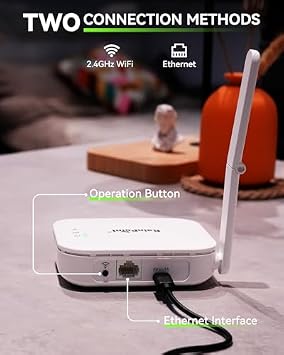 RAINPOINT 2 Zone Smart Hose Timer