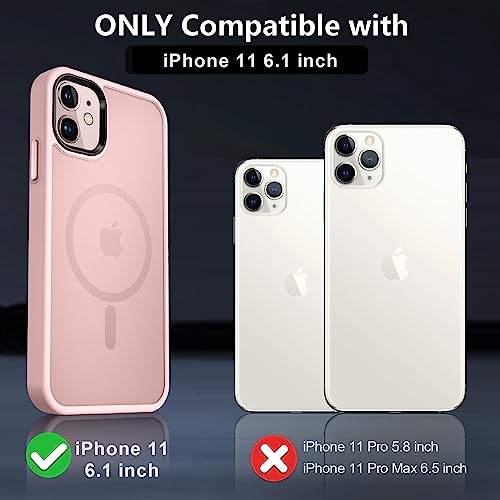 MOCCA Strong Magnetic for iPhone 11 Case,[Compatible with Magsafe][Glass Screen Protector+Camera Lens Protector] Slim Thin Shockproof Cover Case for iPhone 11 6.1 inch, Pink by MOCCA - Image 6