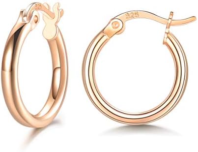 Shuxin Silver Hoop Earrings Set for Women, 3 Pairs 925 Sterling Silver Hoop Earrings Set, Huggie Hinged Unisex Small Sleeper Hoops, Diameter in 13/16/20mm, 3 Colors in Silver/Gold/Rose Gold
