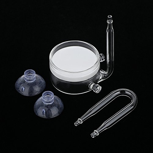 Image of CO2 Diffuser Glass Reactor with U Shape Connecting Tube for Pollen Aquarium Plants Tank(CO2 Diffuser-Large Flat-Bottomed)