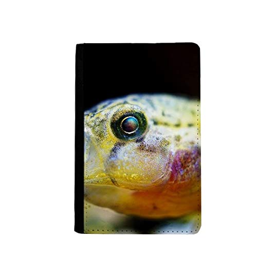 Étui portefeuille de voyage poisson tropical idéal pour vos vacances