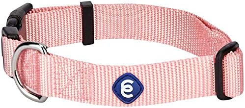 blueberry pet collars