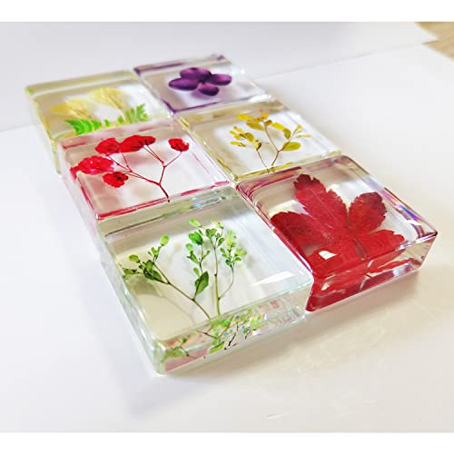 Ptgmh Flower Paperweight 6 Pcs Resin Paperweights For Desk With Real Pressed Flower Samples Table Decoration Clear Square Paperweight Cube Desk Ornament (Color B) #TOP5