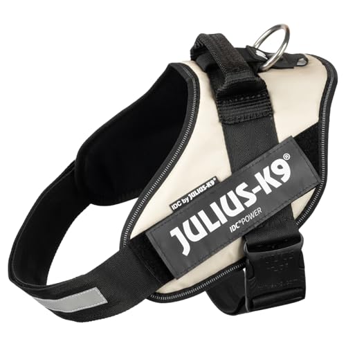 IDCp[n[lX, TCY: M/0, ^