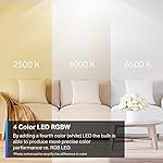 TP-Link Tapo Smart Light Bulbs, 16M Colors RGBW, Dimmable, Compatible with Alexa and Google Home, A19, 60W Equivalent, 800LM CRI>90, 2.4GHz WiFi only, No Hub Required, Tapo L530E(4-Pack) - Image 2