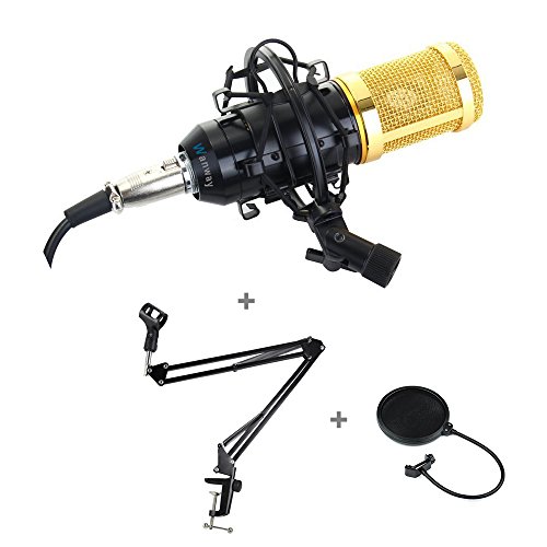 Wanway BM-800(Negro) Kit de Micrófono Profesional para Estudio de Radiodifusión y Grabación, incluye: (1) BM-800 Micrófono condensador (1)Soporte de micrófono suspensión tijeras adjustable(1) Montaje de choque metálico (1) Parabrisas filtro pop máscarilla para micrófono de estudio (1) Capa de espuma anti-viento de tipo pelota (1) Cable 3.5mm Masculino a XLR Femenino