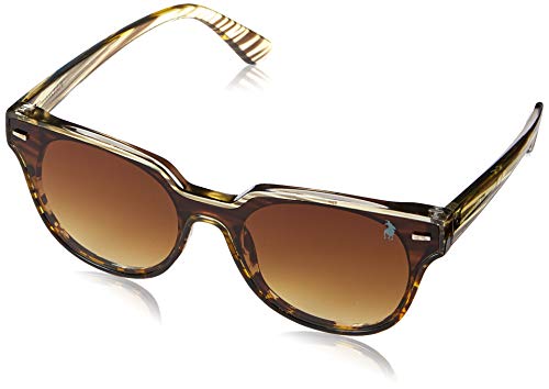 Óculos de sol óculos de sol, Polo London Club, Feminino, Marrom, único