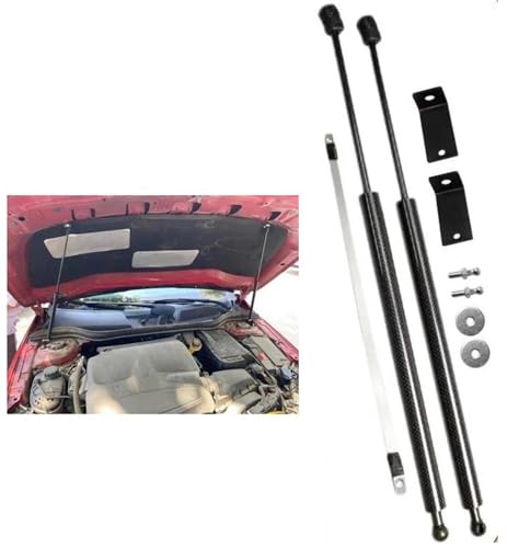 Supports de levage et vérins à gaz robustes pour CLA C117