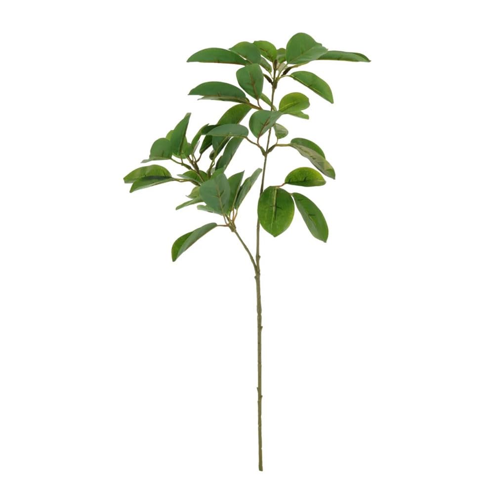 FloristryWarehouse Faux Silk Artificial Mountain Laurel Foliage Stem 72cm