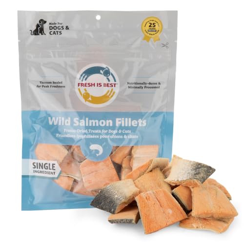 Fresh Is Best Salmon Fillets Freeze Dried Dog Treats for