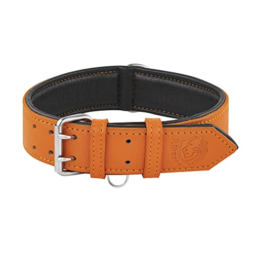 Riparo Echtes Leder Verstellbares Hundehalsband mit Zusätzlicher Verstärkung (L: 3,8CM Breit für 43,2CM - 53,3CM Hals, Orange)