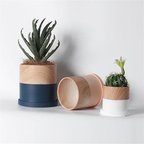 Pots de fleurs avec plante verte décorative de bureau et maison - 6