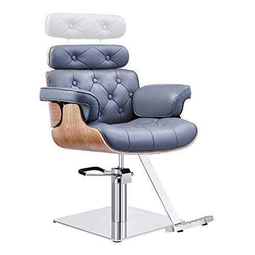 Salon Styling Chair Hydraulic Stylist Chair Dreames In Grey #TOP1