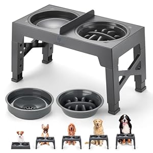 Raised Dog Bowls with Stand, Non-Spill Divider & Slow Feeding Bowl – Dog Feeding Station with Elevated Dog Bowls – Adjustable Height Dog Bowl Stand with Raised Dog Bowl