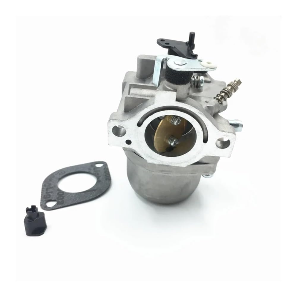 Carburateur BS 799728 498231 pour réparer le moteur de motoculture