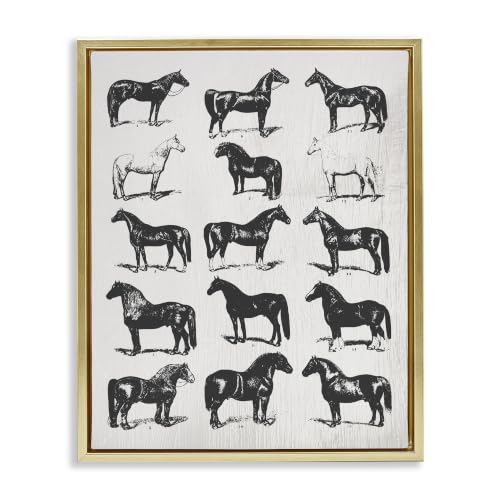 Vintage Varied Horse Breeds, 24 x 30 Inch Canvas in Floater Frame