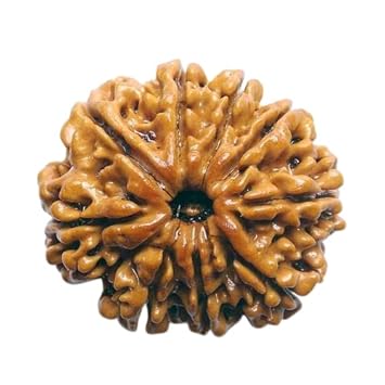 DEVOGems 9 Mukhi Nepali Rudraksha with Silver Capping & Red Thread Genuine Nine Face Rudraksha Blessed by Goddess Durga AA++ Nau Mukhi Rudraksha 9 Face Rudraksha Original Certified 