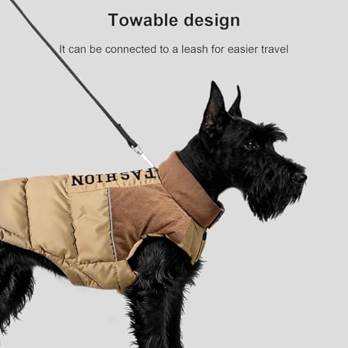 Teckel gilet pour petits chiens protégeant du froid pendant la marche quotidienne