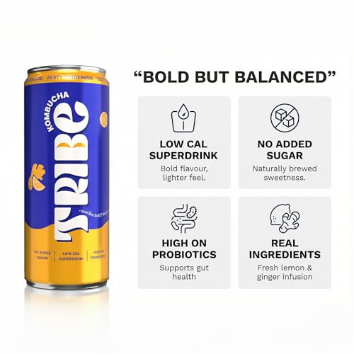 Image of Tribe Kombucha Probiotic Super Drink | Supports Gut Health | Gluten-Free | Naturally Fermented | Super Refreshing | Gut Friendly | Improves Blood Sugar | Antioxidant and Hydration | No Added Sugar |250 ML X 2 (ZESTY GINGERADE)