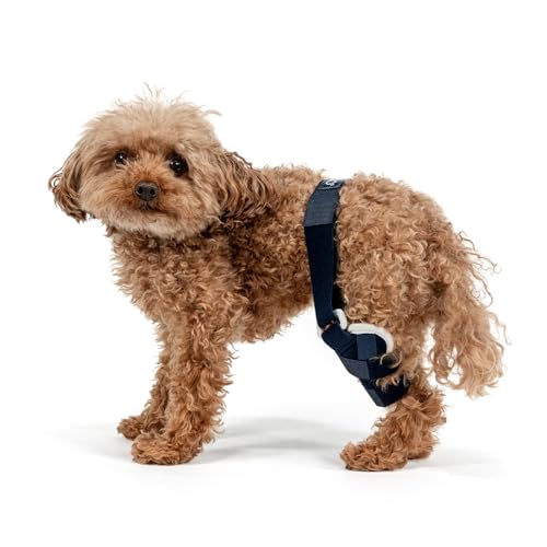 Image of Balto Jump Dog Knee Brace - Orthopedic ACL /CCL Support for Dogs - Adjustable Leg Stabilizer for Joint Pain, Injury Recovery & Arthritis - Vet-Approved Canine Knee Support (XX-Small, Right Leg)